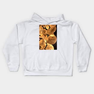 Gold coins, computer artwork (T362/0454) Kids Hoodie